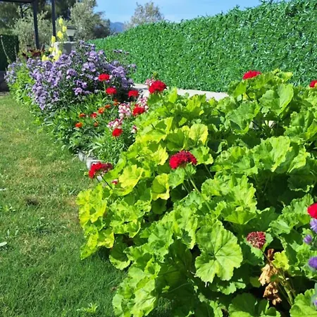 Havuzlu Tas Yapi Kiralik Willa Kadikoy (Fethiye)